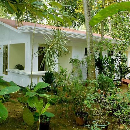 Отель Jickys Nest Варкала Номер фото