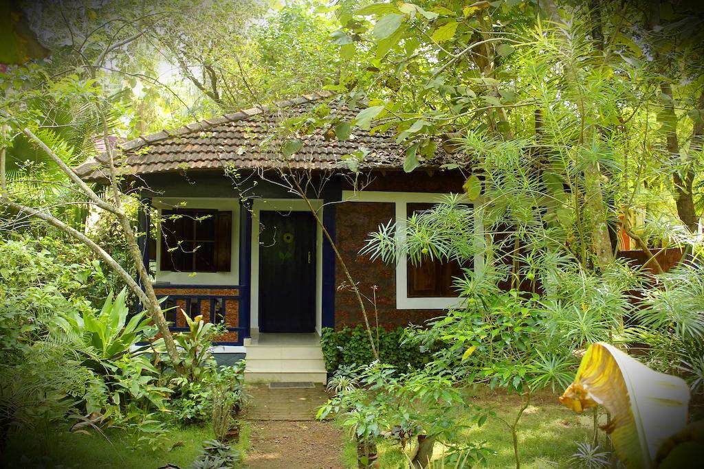 Отель Jickys Nest Варкала Номер фото